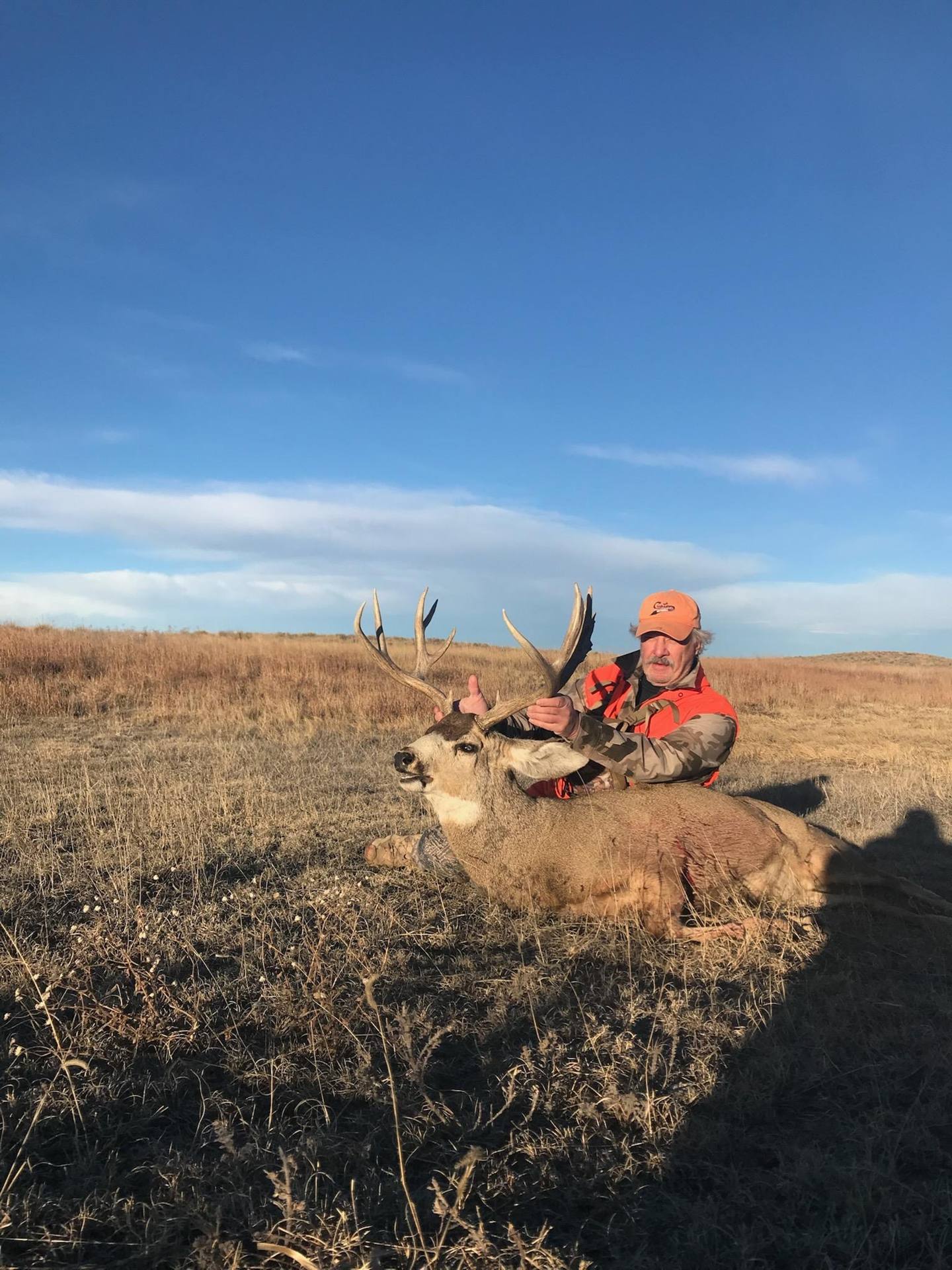 Mule deer buck taken on the open Eastern Plains