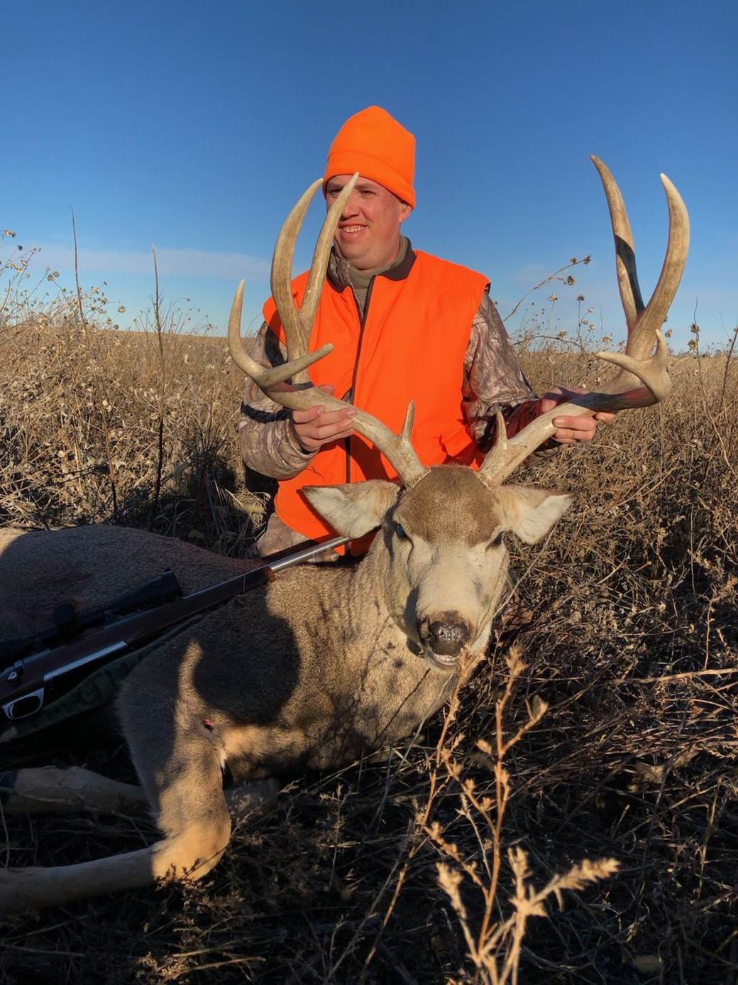 Mature mule deer buck taken on the Eastern Plains grassland