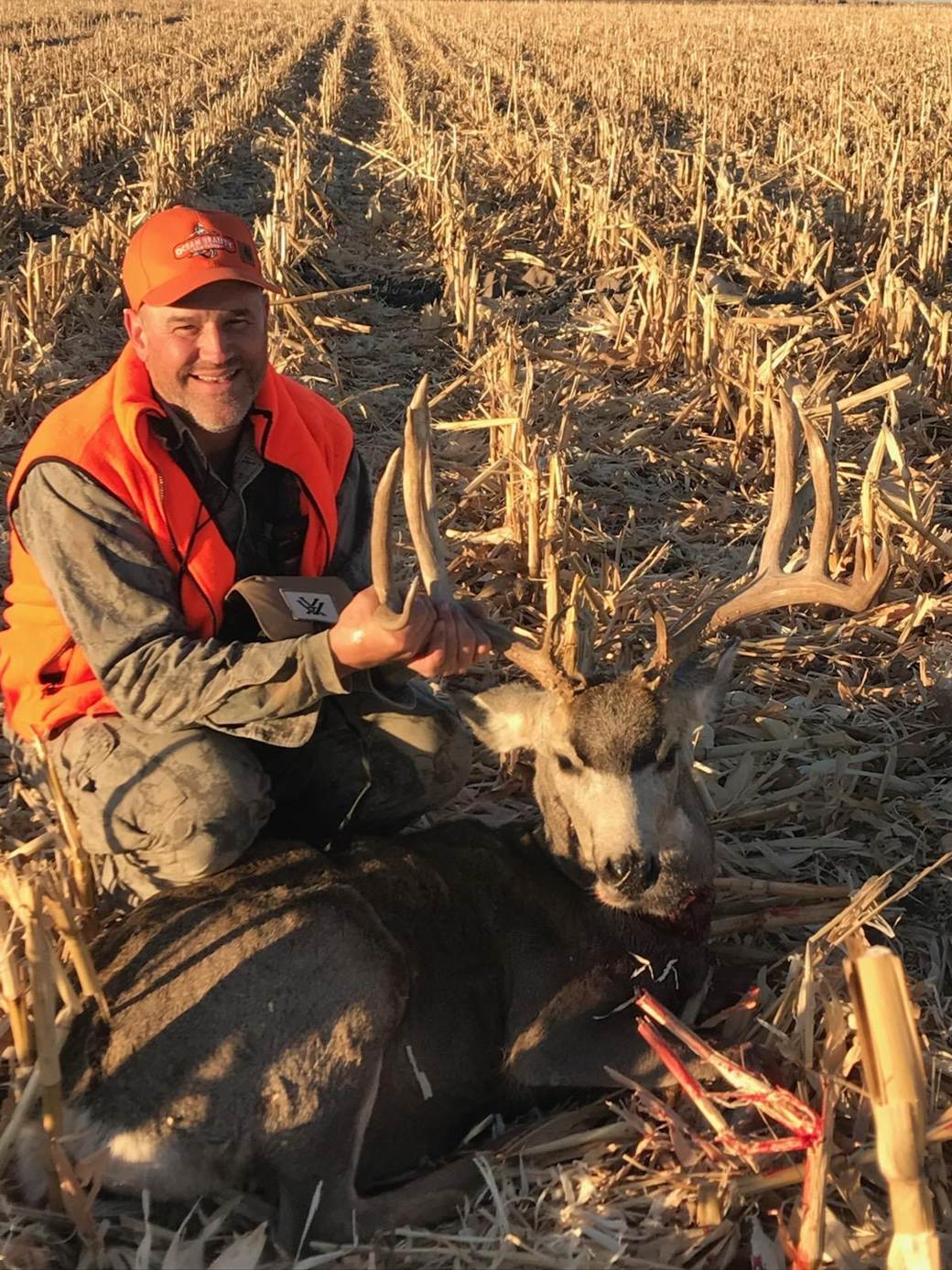 Hunter with a mule deer buck in a harvested cornfield