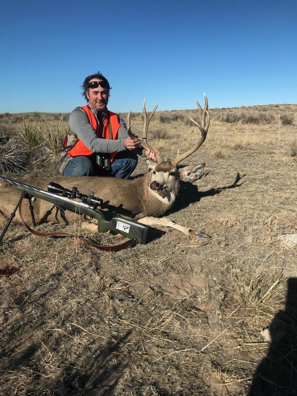 Mule deer buck at dusk on Eastern Colorado farmland
