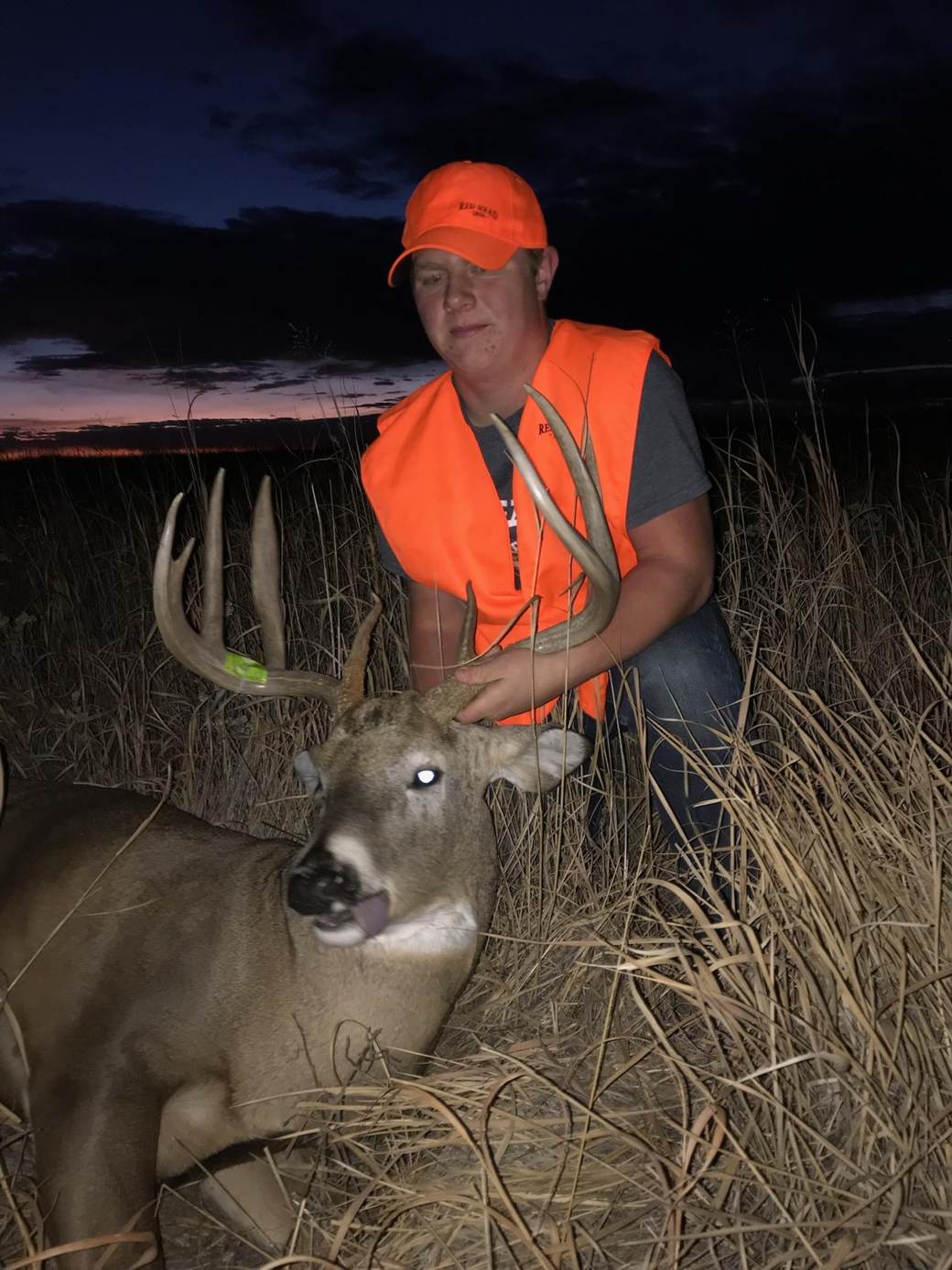 Whitetail buck at sunset on the Eastern Colorado plains