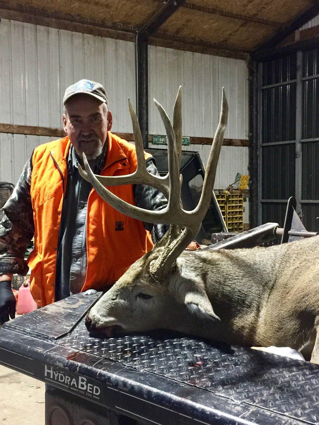 Whitetail buck loaded for the trip back from the field